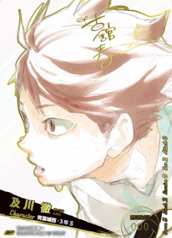 Oikawa Toru VRP HV-P04-017