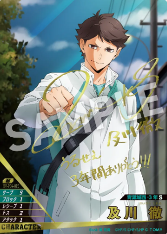 Oikawa Toru S HV-P04-015