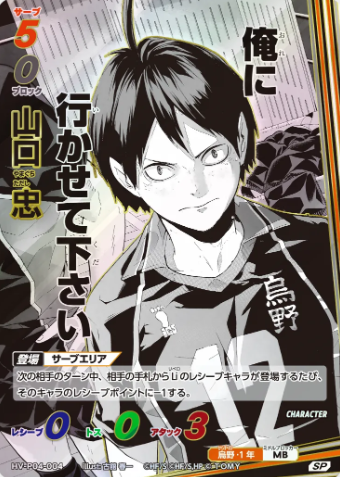 Yamaguchi Takashi SP HV-P04-004