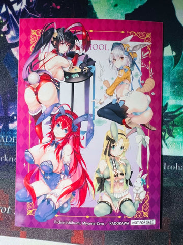 Rias Akeno Koneko Asia bunny bromide