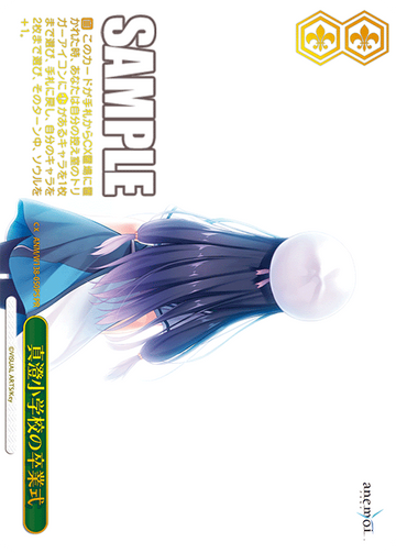 Rikka PR ANM/W138-050PS