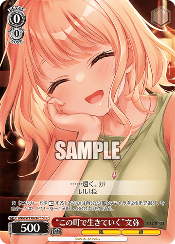 Fumiya SR1 ANM/W138-067S