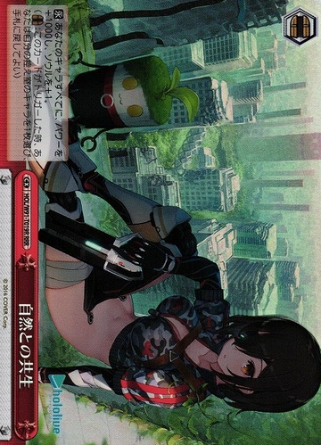 Roboco RRR HOL/W91-T019 - Hololive