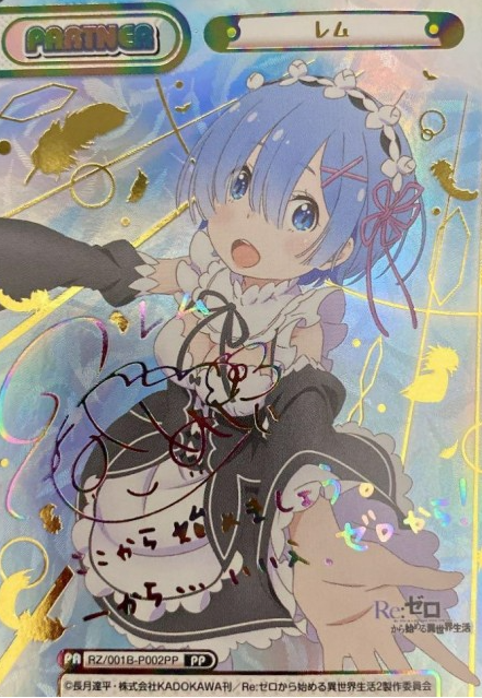 Rem PP RZ-001B-P002
