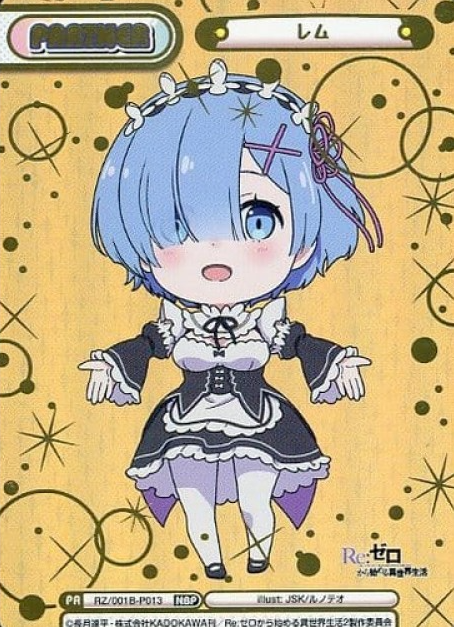 Rem NBP RZ-001B-P013