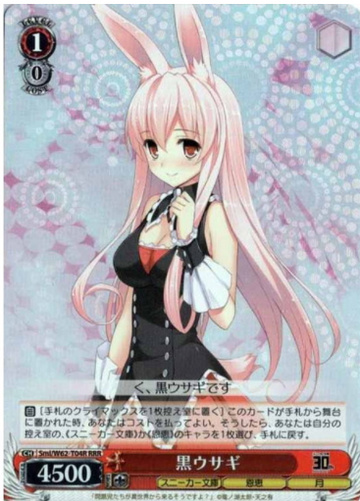 Black Rabbit RRR Smi/W62-T04R - KADOKAWA Sneaker Bunko-KADOKAWA S.B